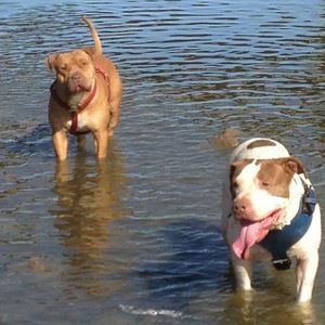 Meet your Posher, China